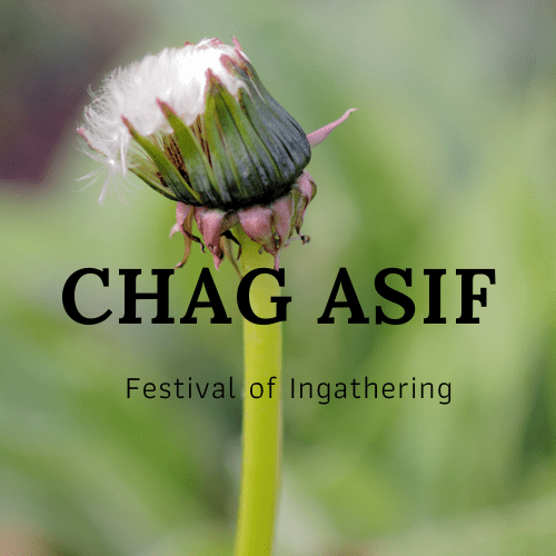 Chad Asif